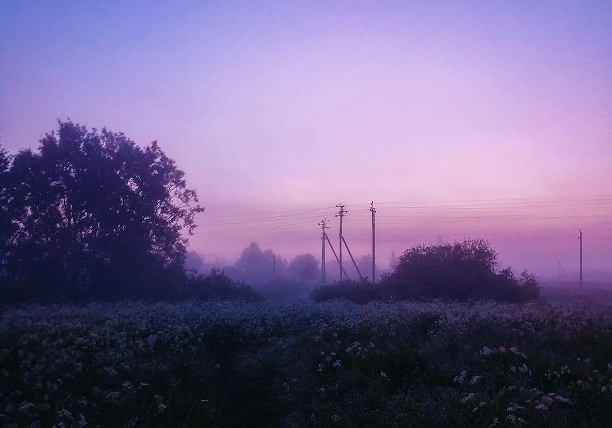 jiuyou网页登录-WTT重庆冠军赛 石洵瑶战胜陈幸同晋级女单八强